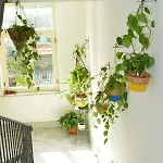 Apartment Di Martino Sant'Egidio del Monte Albino