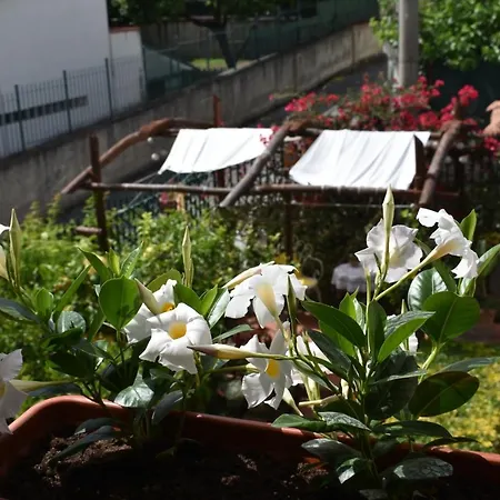Di Martino *
