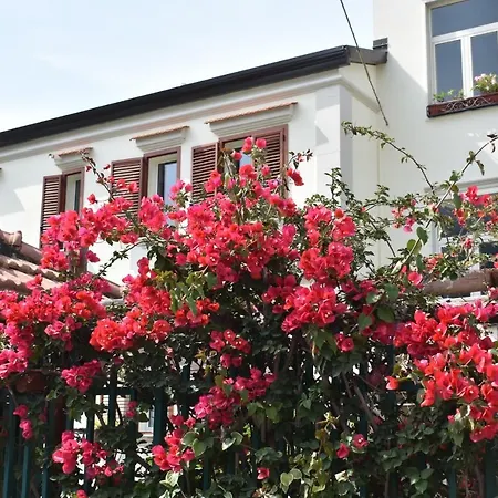 Apartment Di Martino *