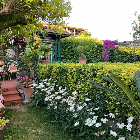 Apartment Di Martino