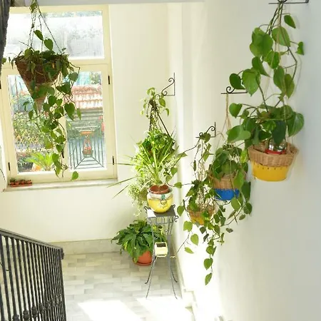 Apartment Di Martino Sant'Egidio del Monte Albino